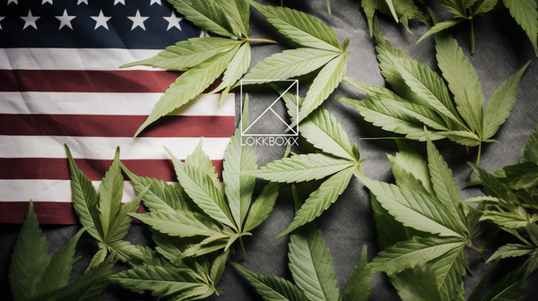 cannabis leaf