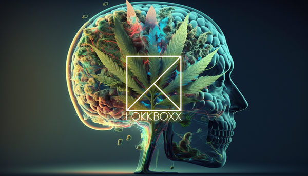 Keeping Cannabis potent in a stash box